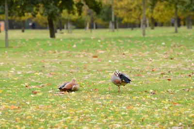 DSC_0597 (Large).JPG